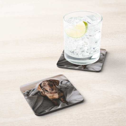 Niedliche Kleintiere | Dackel Schokolade Getränkeuntersetzer (Rechte Seite)