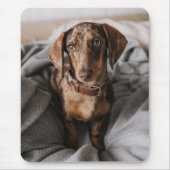 Niedliche Kleintiere | Dackel Schokolade Mousepad (Vorne)