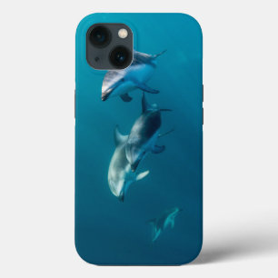 Niedliche Kleintiere   Dolphin-Familie Case-Mate iPhone Hülle