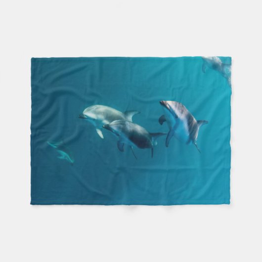 Niedliche Kleintiere | Dolphin-Familie Fleecedecke (Vorderseite (Horizontal))