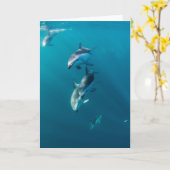 Niedliche Kleintiere | Dolphin-Familie Karte (Gelbe Blume)