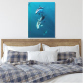 Niedliche Kleintiere | Dolphin-Familie Leinwanddruck (Insitu (Schlafzimmer))
