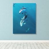 Niedliche Kleintiere | Dolphin-Familie Leinwanddruck (Insitu (Holzboden))