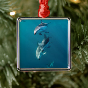 Niedliche Kleintiere Dolphin-Familie Ornament Aus Metall