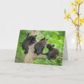 Niedliche Kleintiere | Drei junge Bärenkuppen Karte (Gelbe Blume)