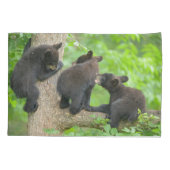 Niedliche Kleintiere | Drei junge Bärenkuppen Kissenbezug (Rückseite)