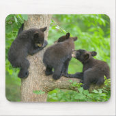 Niedliche Kleintiere | Drei junge Bärenkuppen Mousepad (Vorne)