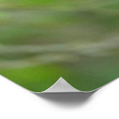 Niedliche Kleintiere | Drei junge Bärenkuppen Poster (Ecke)