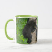 Niedliche Kleintiere | Drei junge Bärenkuppen Tasse (Links)