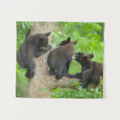 Niedliche Kleintiere | Drei junge Bärenkuppen Wandteppich (Vorderseite (Horizontal))