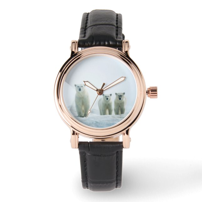 Niedliche Kleintiere | Drei junge Polarbären Armbanduhr (Vorderseite)