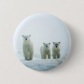 Niedliche Kleintiere | Drei junge Polarbären Button (Vorderseite)