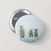 Niedliche Kleintiere | Drei junge Polarbären Button (Vorne & Hinten)