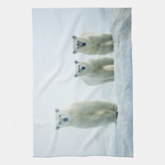 Niedliche Kleintiere | Drei junge Polarbären Geschirrtuch (Vertikal)