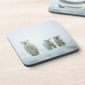 Niedliche Kleintiere | Drei junge Polarbären Getränkeuntersetzer (Linke Seite)