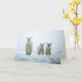 Niedliche Kleintiere | Drei junge Polarbären Karte (Gelbe Blume)