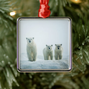 Niedliche Kleintiere   Drei junge Polarbären Ornament Aus Metall