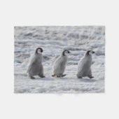 Niedliche Kleintiere | Drei Kaiserpinguin - Chicks Fleecedecke (Vorderseite (Horizontal))