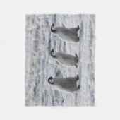 Niedliche Kleintiere | Drei Kaiserpinguin - Chicks Fleecedecke (Vorderseite)