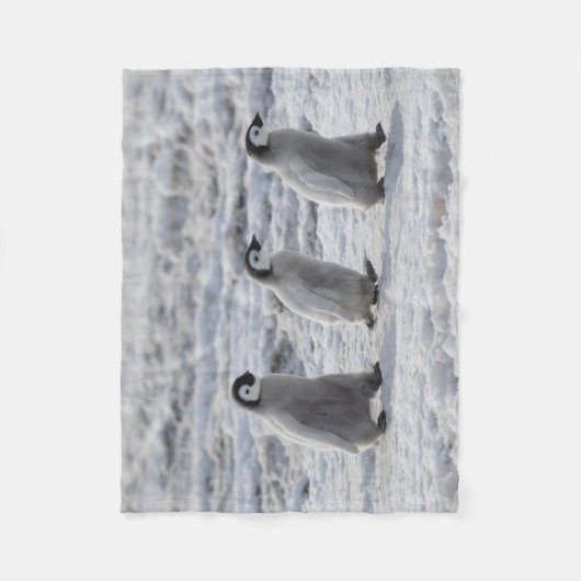 Niedliche Kleintiere | Drei Kaiserpinguin - Chicks Fleecedecke (Vorderseite)