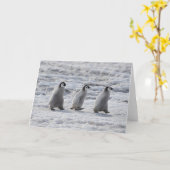 Niedliche Kleintiere | Drei Kaiserpinguin - Chicks Karte (Gelbe Blume)
