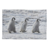 Niedliche Kleintiere | Drei Kaiserpinguin - Chicks Kissenbezug (Rückseite)