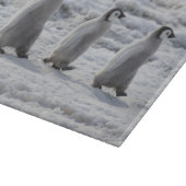 Niedliche Kleintiere | Drei Kaiserpinguin - Chicks Schneidebrett (Ecke)