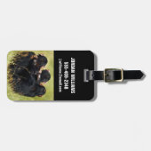 Niedliche Kleintiere | Drei Schimpansen umarmt Gepäckanhänger (Vorderseite horizontal)