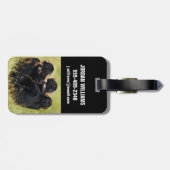 Niedliche Kleintiere | Drei Schimpansen umarmt Gepäckanhänger (Rückseite horizontal)