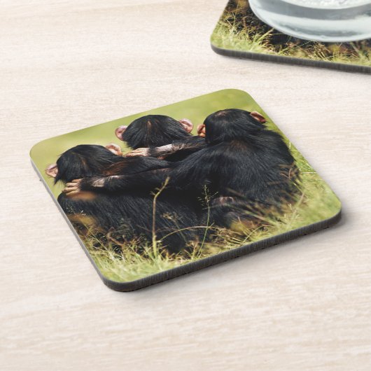 Niedliche Kleintiere | Drei Schimpansen umarmt Getränkeuntersetzer (Linke Seite)