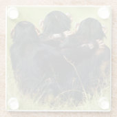 Niedliche Kleintiere | Drei Schimpansen umarmt Glasuntersetzer (Rückseite)