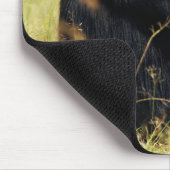 Niedliche Kleintiere | Drei Schimpansen umarmt Mousepad (Ecke)