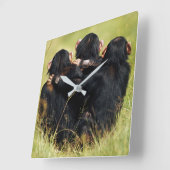 Niedliche Kleintiere | Drei Schimpansen umarmt Quadratische Wanduhr (Winkel)