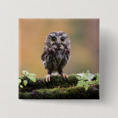 Niedliche Kleintiere | Ein Baby Button (Vorderseite)