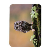 Niedliche Kleintiere | Ein Baby Magnet (Vertikal)