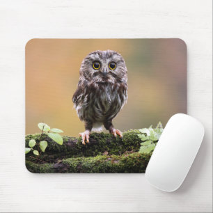 Niedliche Kleintiere Ein Baby Mousepad