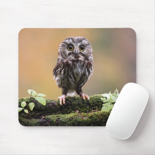 Niedliche Kleintiere | Ein Baby Mousepad (Mit Mouse)