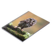 Niedliche Kleintiere | Ein Baby Notizblock (Linke Seite)