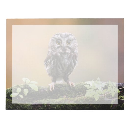 Niedliche Kleintiere | Ein Baby Notizblock (Vorderseite)