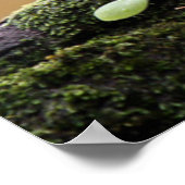 Niedliche Kleintiere | Ein Baby Poster (Ecke)