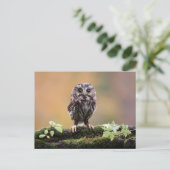 Niedliche Kleintiere | Ein Baby Postkarte (Stehend Vorderseite)