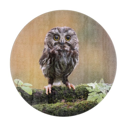 Niedliche Kleintiere | Ein Baby Schneidebrett (Vorderseite)