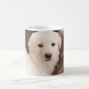 Niedliche Kleintiere Ein Niedlicher Haufen Welpe Kaffeetasse