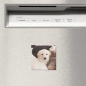 Niedliche Kleintiere | Ein Niedlicher Haufen Welpe Magnet (In Situ (Geschirrspüler))