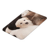 Niedliche Kleintiere | Ein Niedlicher Haufen Welpe Magnet (Linke Seite)