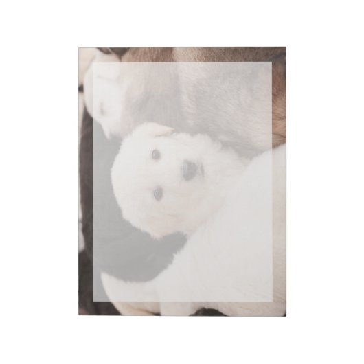 Niedliche Kleintiere | Ein Niedlicher Haufen Welpe Notizblock (Rotiert)