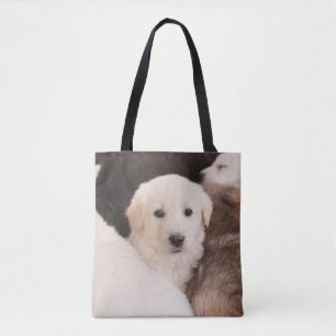 Niedliche Kleintiere Ein Niedlicher Haufen Welpe Tasche