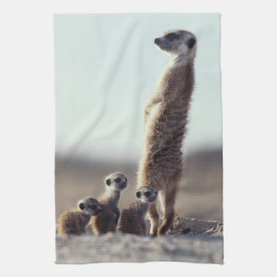 Niedliche Kleintiere Eine Familie der Meerkats Geschirrtuch