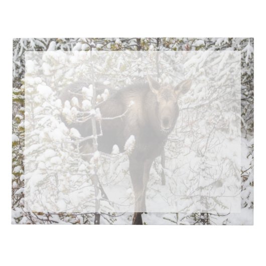 Niedliche Kleintiere | Elchkalb Notizblock (Vorderseite)