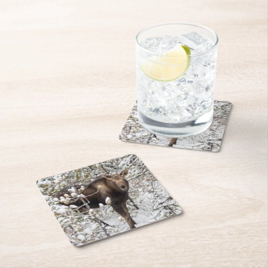 Niedliche Kleintiere | Elchkalb Rechteckiger Pappuntersetzer (Vor Ort)